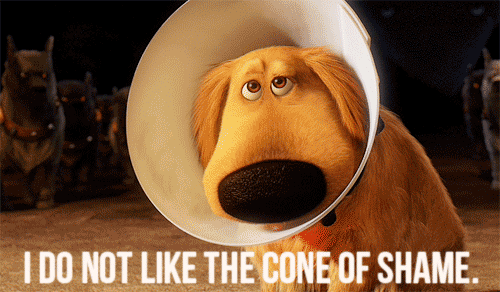 giphy-2.gif