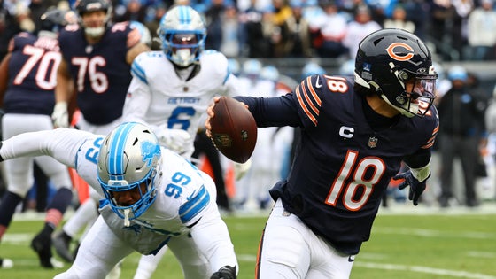 bears-lions.jpg