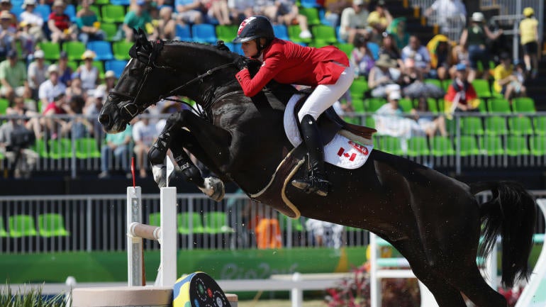 Horsin' around the world: How horses make the journey to the Olympics