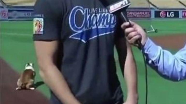 WATCH: Klay Thompson's dog takes care of his business on Dodger Stadium field