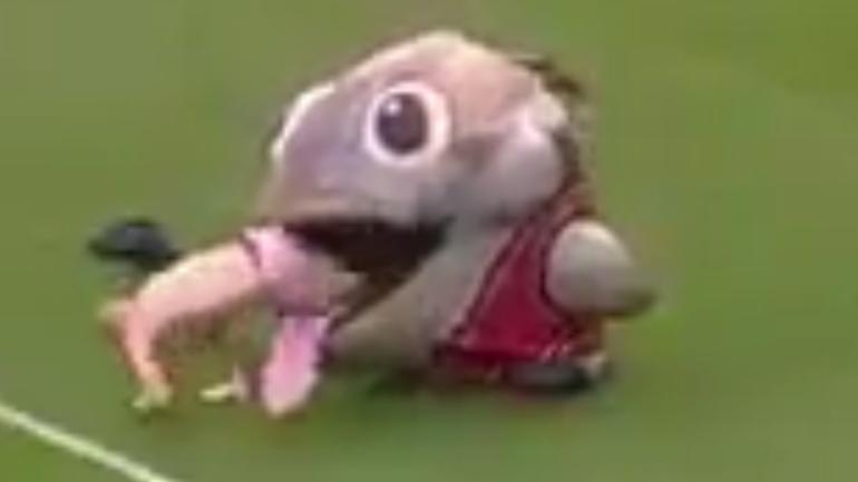 WATCH: Man-eating inflatable fish mascot hilariously steals English soccer halftime show