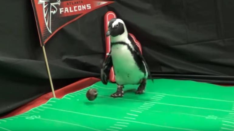 WATCH: The Georgia Aquarium made the ultimate Super Bowl hype video