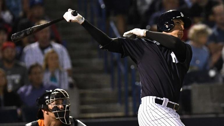 The Yankees must love what they're seeing from Greg Bird this spring