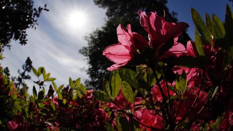 2017 Masters field will not swell beyond 95 golfers at Augusta National
