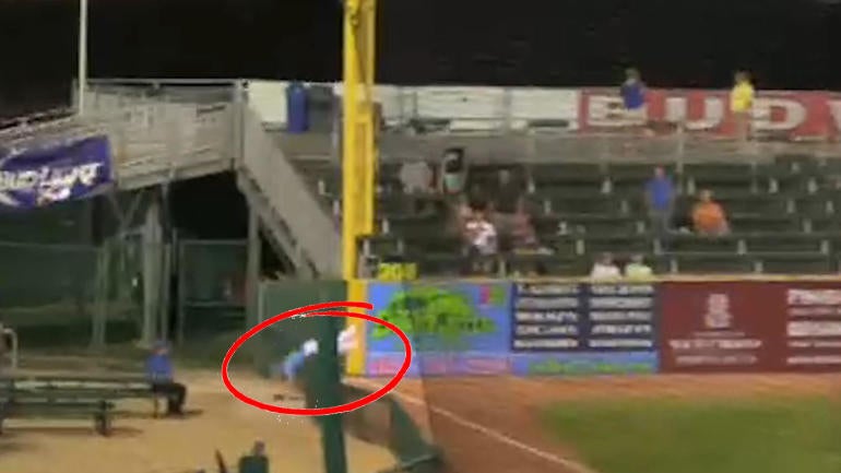 WATCH: No fence can stop Cubs prospect Daniel Spingola from making a catch