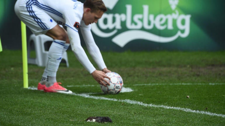 LOOK: Fans throw dead rats at players during heated soccer rivalry game