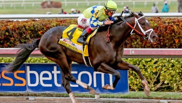 always-dreaming-florida-derby-kentucky.jpg