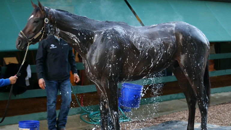 Preakness 2017 odds: Expert picks for win, place, show, trifecta and superfecta