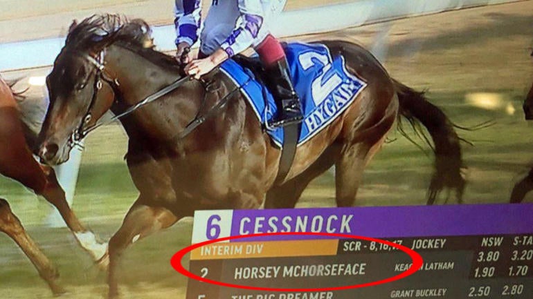 Stop what you're doing and listen to the Horsey McHorseface race call