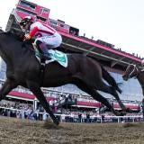 kentucky-derby-horse-racing-imagn-images.jpg