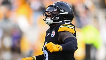 Baltimore Ravens v Pittsburgh Steelers