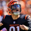 imagn-trey-hendrickson-bengals.jpg