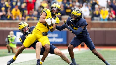 Michigan Maize vs Blue Spring Game