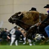 ralphie.jpg