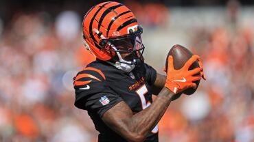 tee-higgins-cincinnati-bengals-imagn-images.jpg