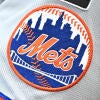 generic-mets-logo-g.jpg