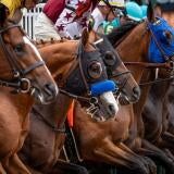 horse-racing-churchill-downs-usatsi-2.jpg