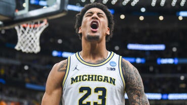 wolverines.jpg