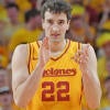 imagn-milan-momcilovic-iowa-state.jpg