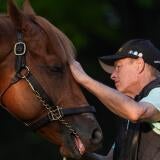 horse-racing-usatsi-generic.jpg