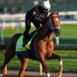 horse-racing-usatsi-generic.jpg