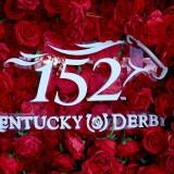 derby-roses.jpg