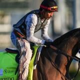 horse-racing-usatsi-generic.jpg