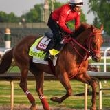horse-racing-usatsi-generic.jpg