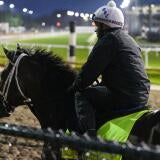 horse-racing-usatsi-generic.jpg