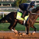 horse-racing-usatsi-generic.jpg