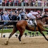 preakness-stakes.jpg