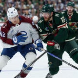 avs-wild.jpg