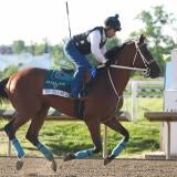 horse-racing-usatsi-generic.jpg