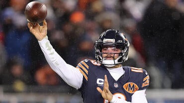 bears.jpg