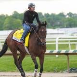 horse-racing-usatsi-generic.jpg