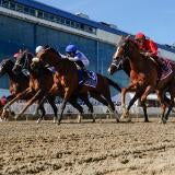 horse-racing-usatsi-generic.jpg