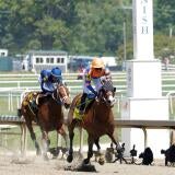 horse-racing-usatsi-generic.jpg
