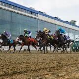 horse-racing-usatsi-generic.jpg
