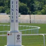 horse-racing-usatsi-generic.jpg