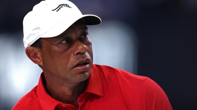 tiger.jpg