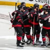 canes.jpg