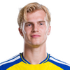 player headshot
