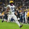 Michigan v Michigan State