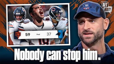bears.jpg
