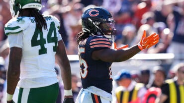 bears.jpg