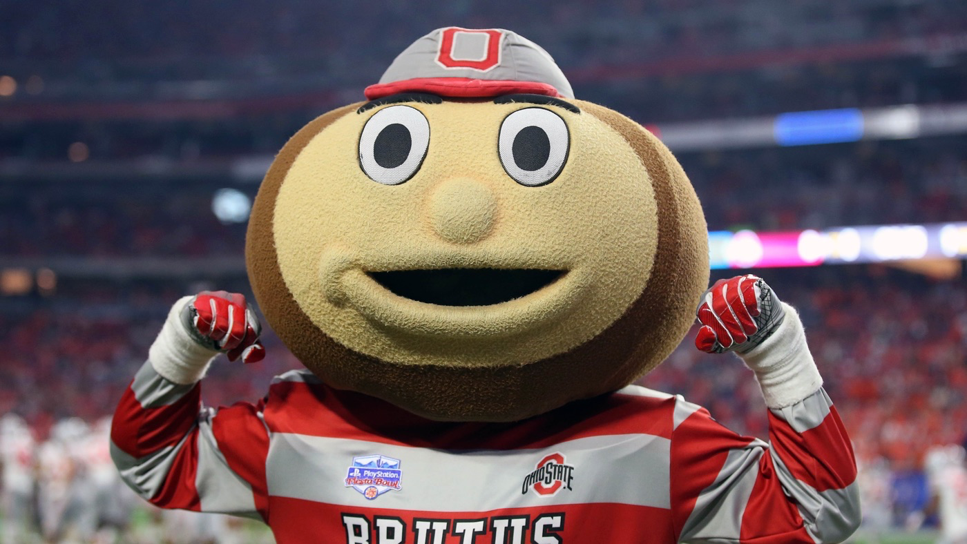 b1gsurvey.png