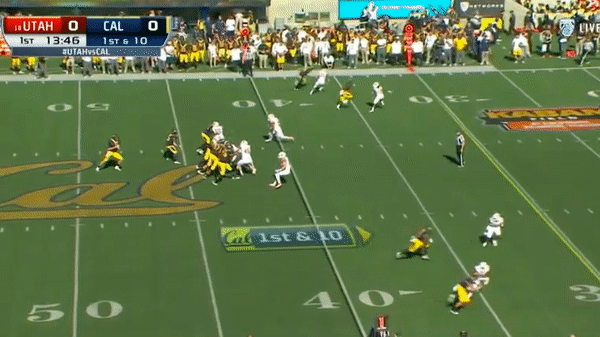 webb-arm1.gif