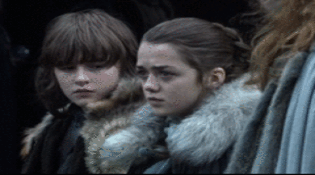 arya1.gif