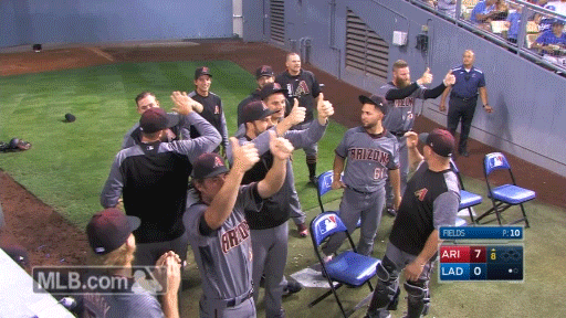 090417-arilad-dbacks-bullpen.gif