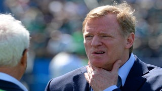 Roger Goodell's Wife Had Secret Twitter for Media Criticism